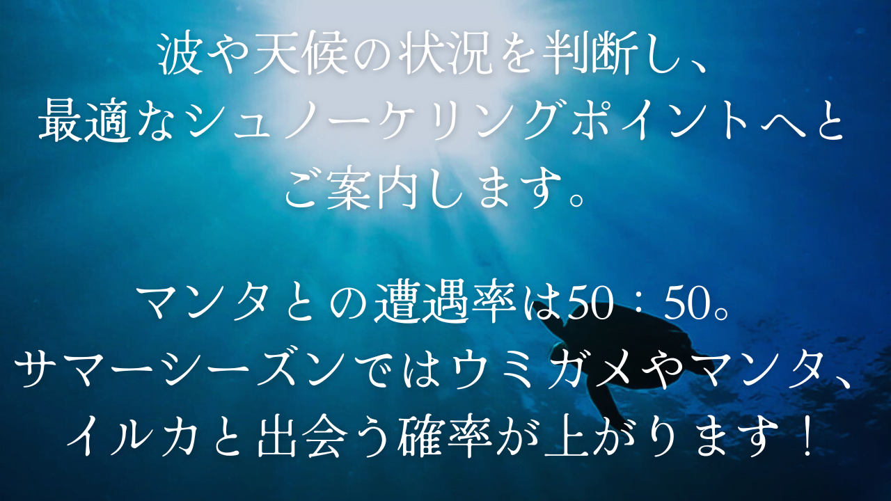 波や天候の状況を判断し、最適なシュノーケリングポイントへとご案内します。