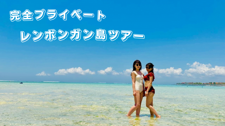 完全プライベート　レンボンガン島ツアー